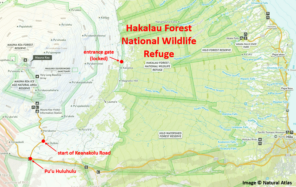 Hakalau Forest Rainfall